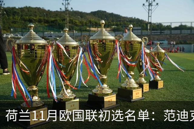 荷兰11月欧国联初选名单：范迪克领衔
